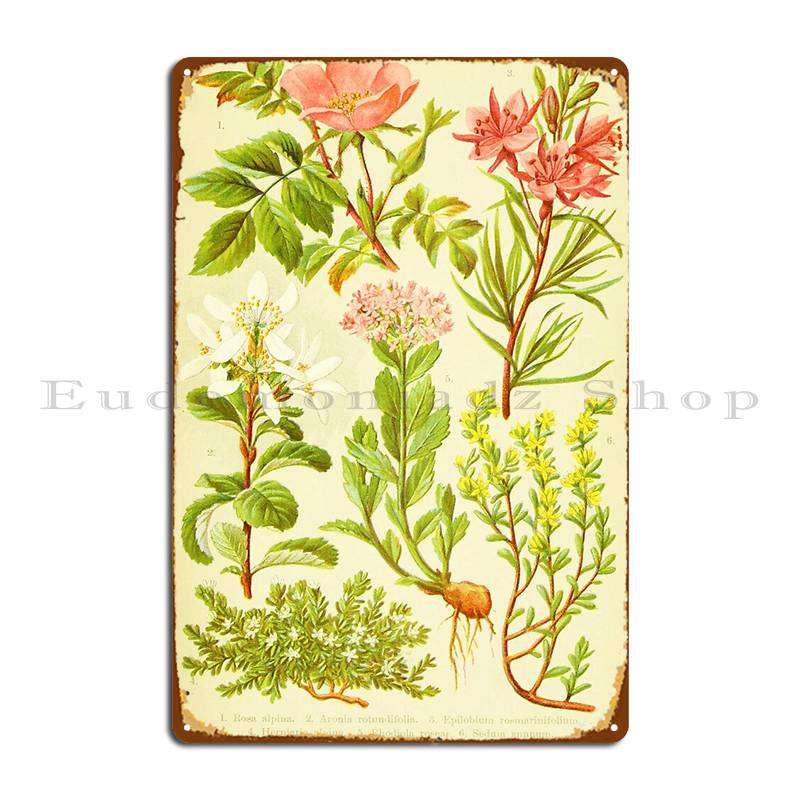 Hd Vintage Flowery Bouquet Des - огляд і ціна Home Cinema Wall Design