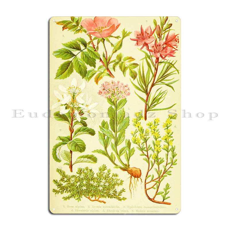 Hd Vintage Flowery Bouquet Des - огляд і ціна Home Cinema Wall Design