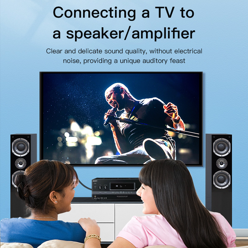 CHOSEAL RCA Cable Digital Coax - огляд і ціна Home Cinema Reviews