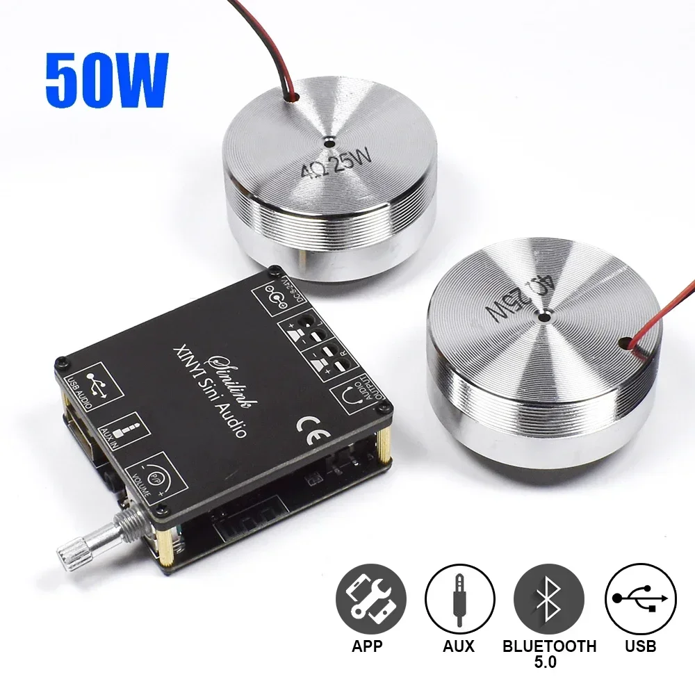 2*25W Portable Stereo Vibratio - огляд і ціна Home Cinema Reviews